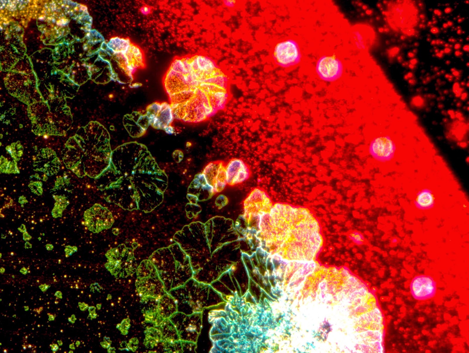 Nanophotonics research