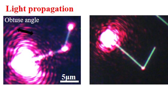 Plasmonic beam splitter