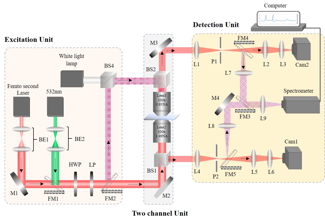 Dual channel Fourier microscopy