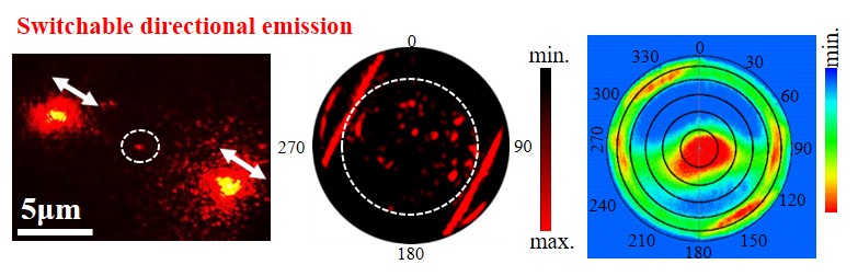 Nanowire nanoparticle system